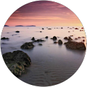 Karlo Markota profile picture